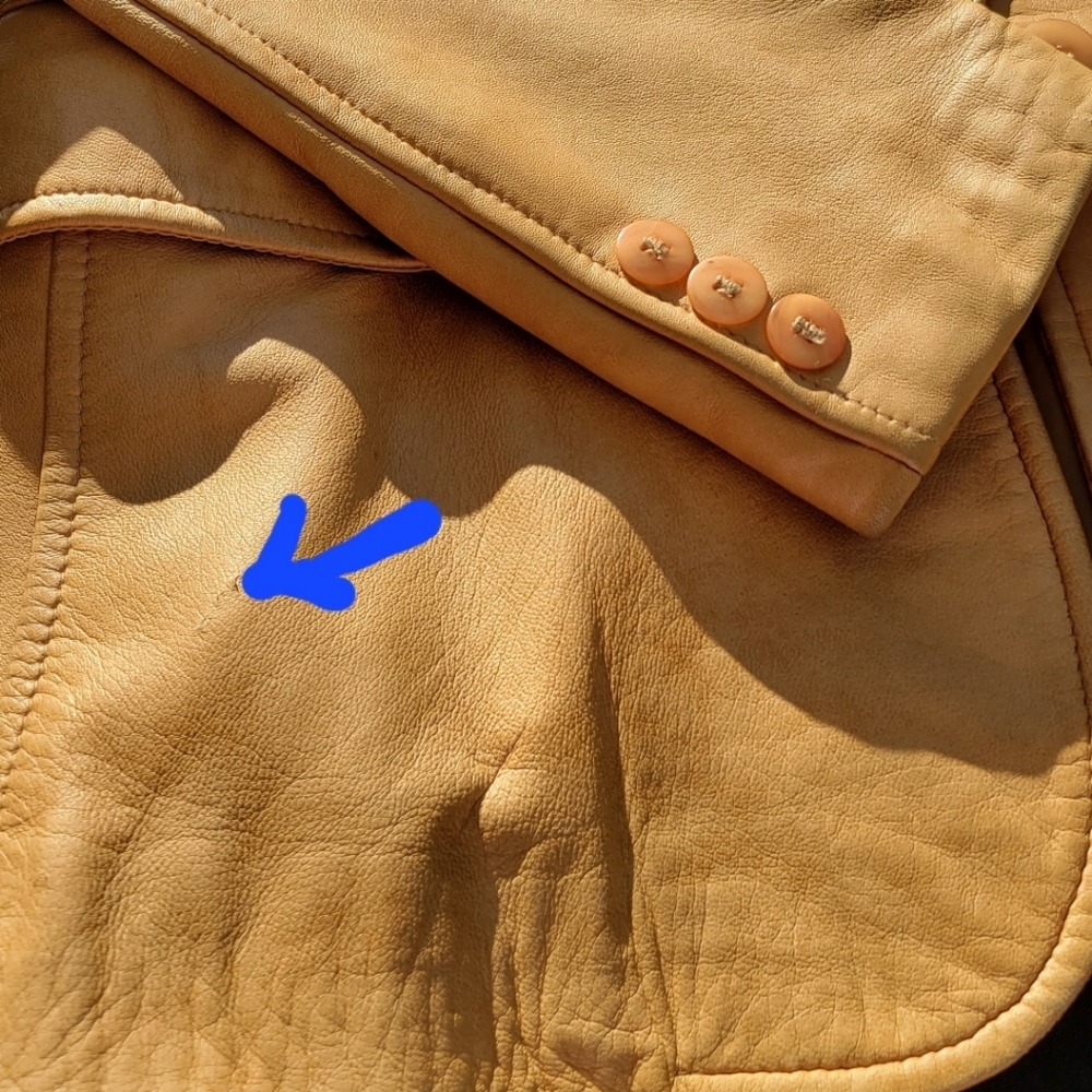 🇨🇦 Gorgeous Danier leather jacket | classic camel colour | blazer-style | Sz S - Picture 12 of 13